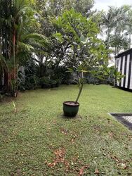 Jalan Haji Alias (D10), Detached #590276231